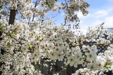 180 Ohio Street Ashland OR 97520