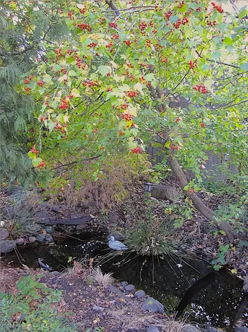 180 Ohio Street Ashland OR 97520