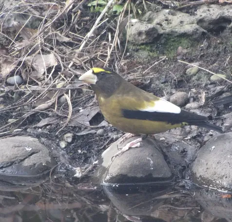 180 Ohio Street Ashland OR 97520