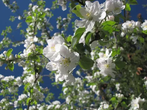 180 Ohio Street Ashland OR 97520