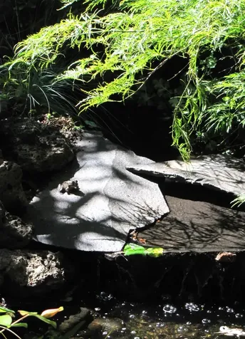 180 Ohio Street Ashland OR 97520