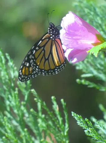 180 Ohio Street Ashland OR 97520