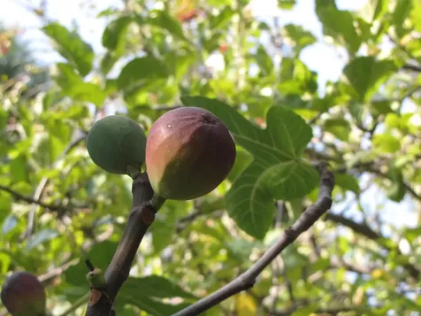 180 Ohio Street Ashland OR 97520