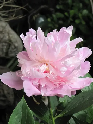 180 Ohio Street Ashland OR 97520