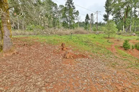 394 Lower Wolf Creek Road Wolf Creek OR 97497