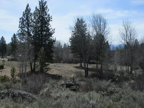 Sportsman Lane Chiloquin OR 97624