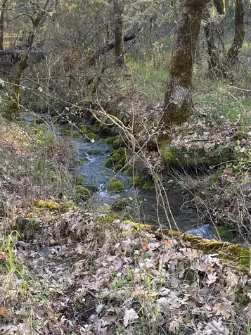 845 Hyde Park Road Grants Pass OR 97527