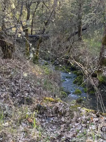 845 Hyde Park Road Grants Pass OR 97527