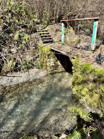 350 Mona Way Cave Junction OR 97523