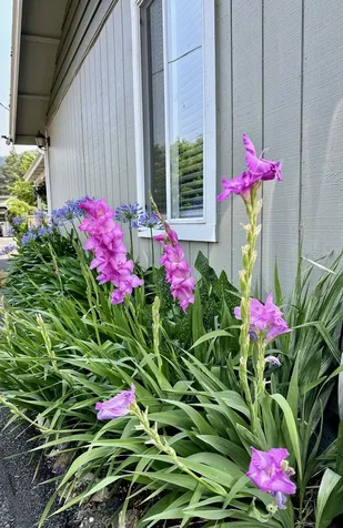 1725 Cloverlawn Drive Grants Pass OR 97527