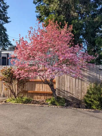 1725 Cloverlawn Drive Grants Pass OR 97527