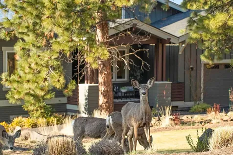 2042 NW Perspective Drive Bend OR 97703