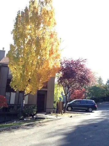 339 Ravenwood Place Ashland OR 97520