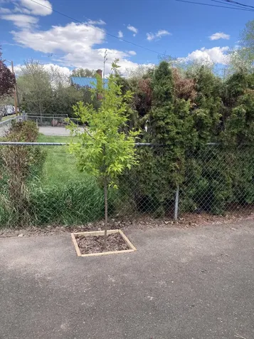 2131 Oak Avenue Klamath Falls OR 97601