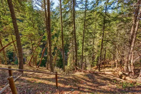 2295 Tolman Creek Road Ashland OR 97520