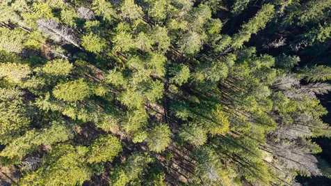 2295 Tolman Creek Road Ashland OR 97520