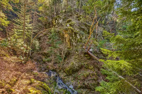 2295 Tolman Creek Road Ashland OR 97520