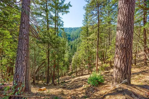 2295 Tolman Creek Road Ashland OR 97520