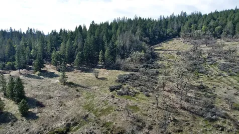 815 Old Trail Creek Road Trail OR 97541