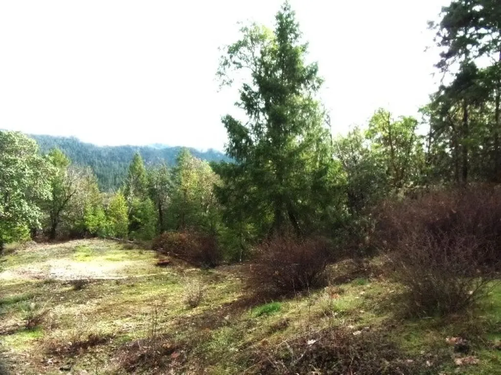 18515 Ditch Creek Road Rogue River OR 97537