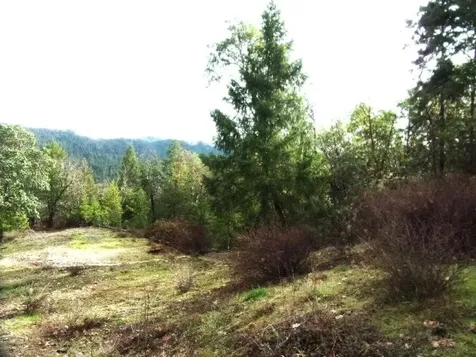 18515 Ditch Creek Road Rogue River OR 97537