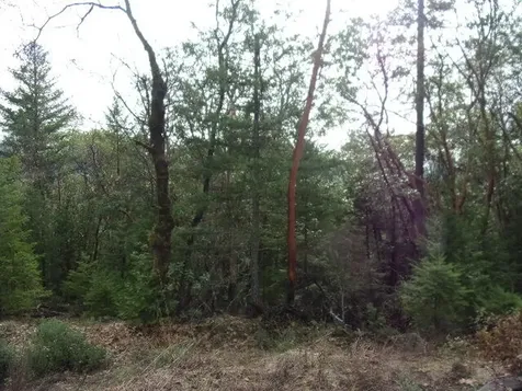 18515 Ditch Creek Road Rogue River OR 97537