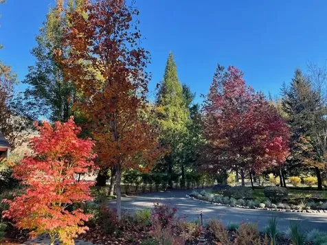 583 Avenue De Teresa Grants Pass OR 97526