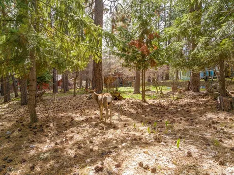 19077 Choctaw Road Bend OR 97702