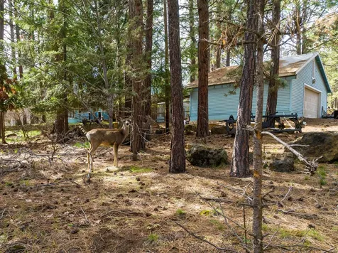 19077 Choctaw Road Bend OR 97702