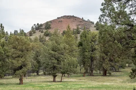 46245 SE Paulina Highway Post OR 97752