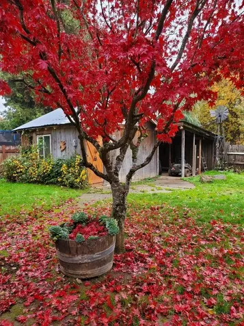 1820 Fruitdale Drive Grants Pass OR 97527