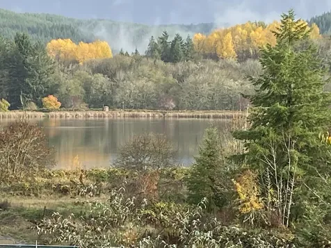 687 Lakeview Drive Vernonia OR 97064