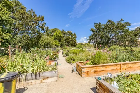 809 N Mountain Avenue Ashland OR 97520