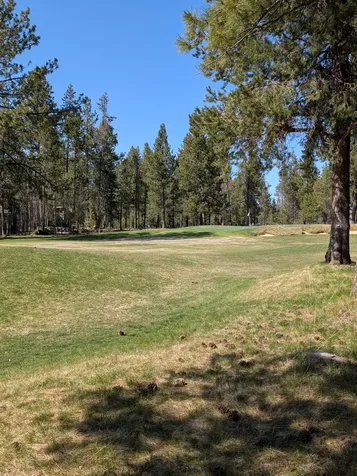 57137 Brassie Lane Sunriver OR 97707