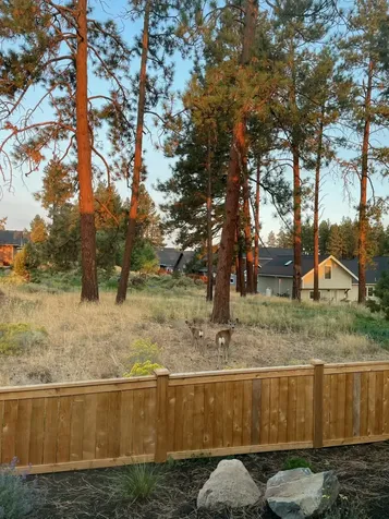 1084 E Horse Back Trail Sisters OR 97759
