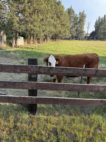 63850 Johnson Road Bend OR 97703