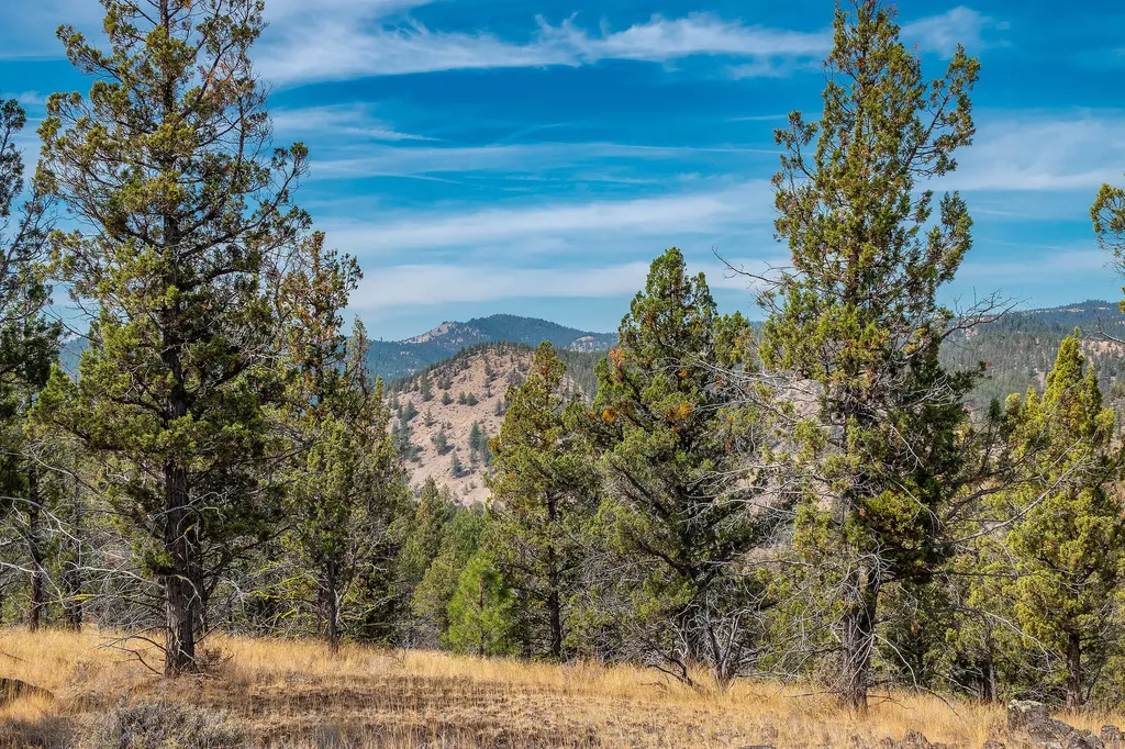 15315 NE Schnieder Way Prineville OR 97754