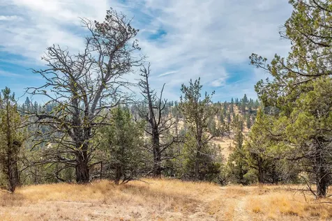 15315 NE Schnieder Way Prineville OR 97754