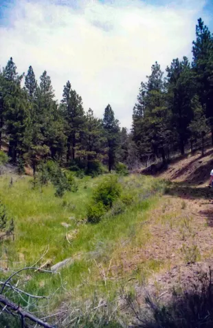 15315 NE Schnieder Way Prineville OR 97754
