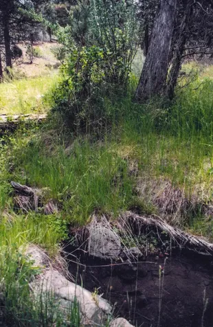 15315 NE Schnieder Way Prineville OR 97754