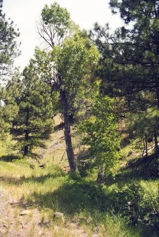15315 NE Schnieder Way Prineville OR 97754