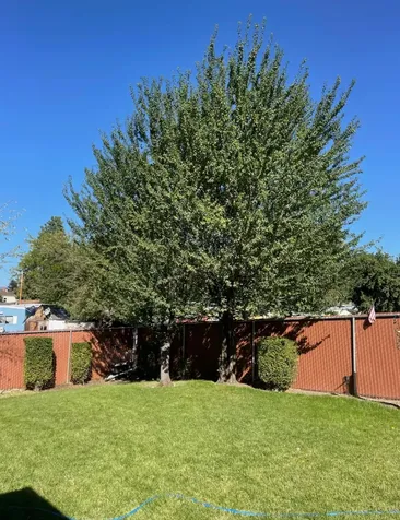 3401 Shasta Way Klamath Falls OR 97603