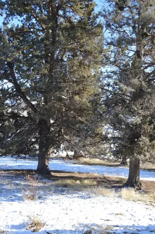 0 Vale (Parcel 2 Of 2.53 Acres) Road Klamath Falls OR 97603