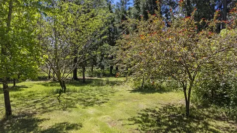 2412 Demaray Drive Grants Pass OR 97527