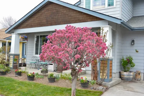 311 NW 25th Street Redmond OR 97756