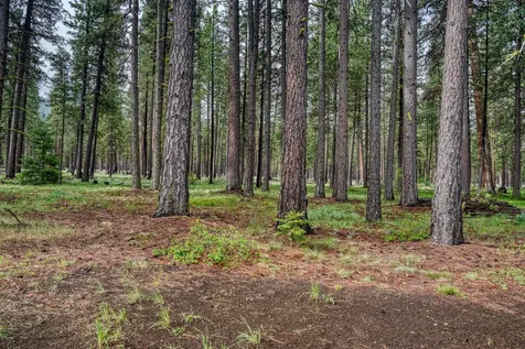 26060 SW Potlatch Lane Camp Sherman OR 97730