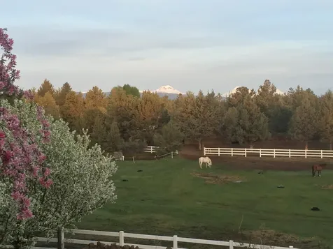 63903 E Quail Haven Drive Bend OR 97703