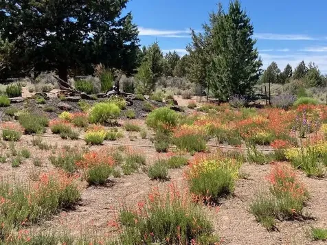 22370 White Peaks Drive Bend OR 97702