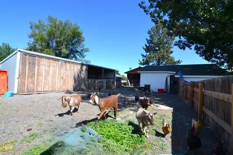 524 NW Martingale Road Prineville OR 97754