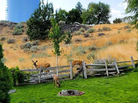2020 Sargent Avenue Klamath Falls OR 97601